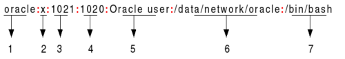 alt passwd file construct
